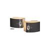 Bose 301 Series V DIRECT/REFLECTING Speaker System - Black